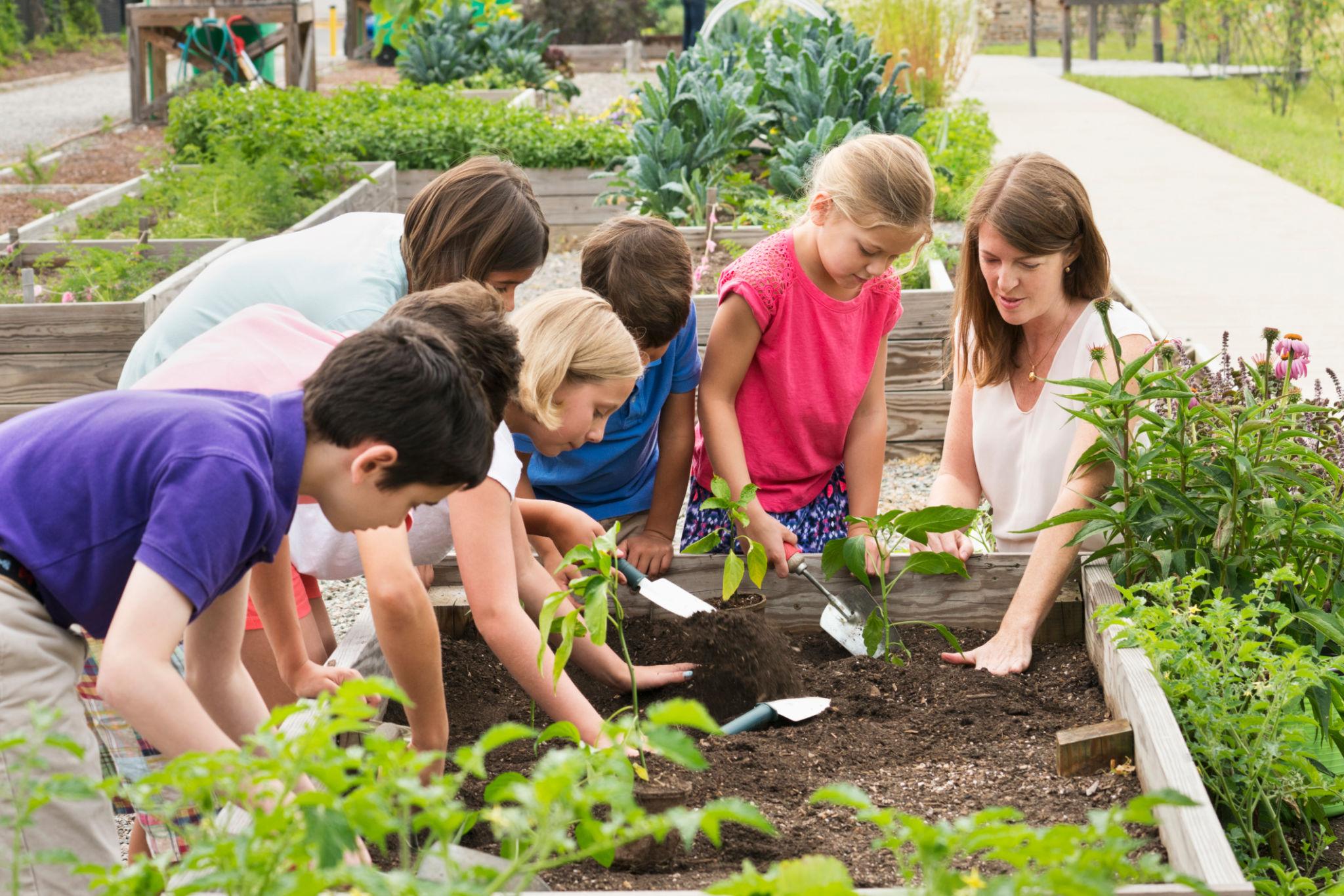Child Gardening